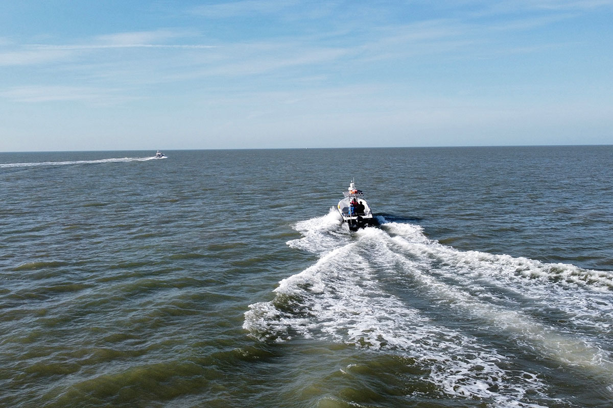 Boat Trips South Coast