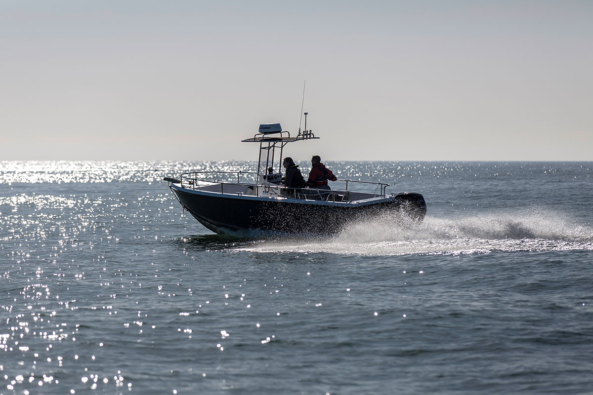 Sea Cruises Sussex
